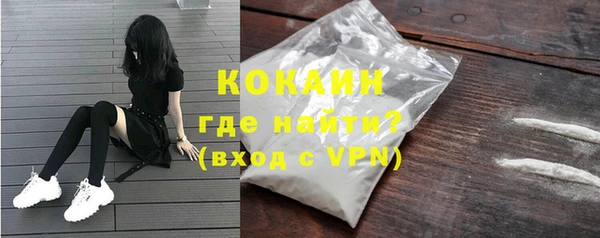 дживик Новозыбков