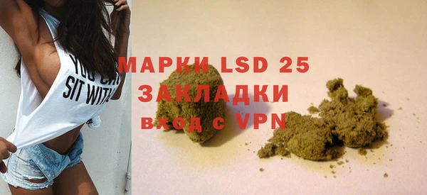 дживик Новозыбков