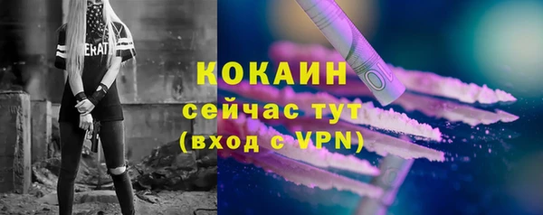 дживик Новозыбков
