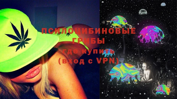 дживик Новозыбков