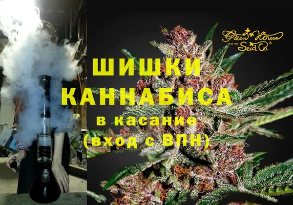 дживик Новозыбков