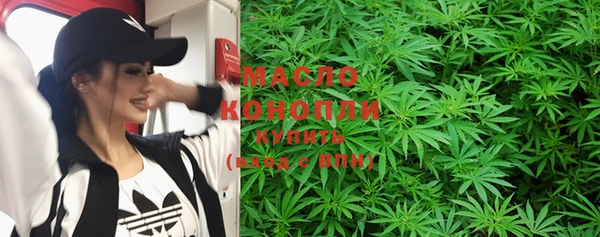 дживик Новозыбков