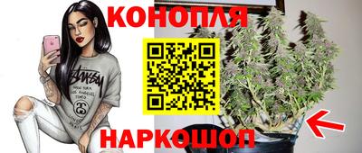 гидропоника Дубна