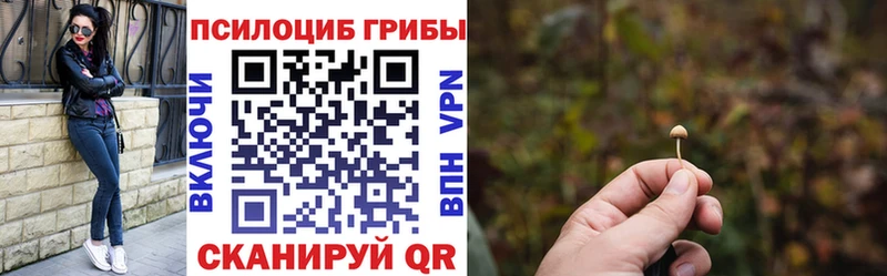 Галлюциногенные грибы Cubensis  ссылка на мегу онион  Чита 