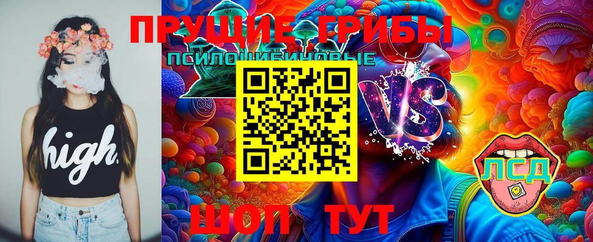 Чита  Галлюциногенные грибы Cubensis  Вход с VPN 