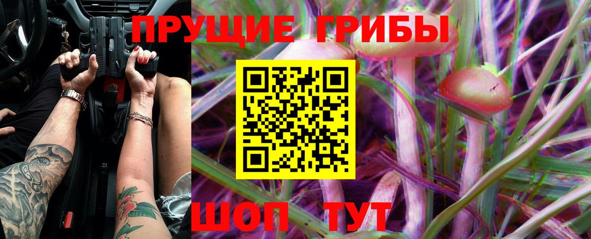 Галлюциногенные грибы GOLDEN TEACHER Чита